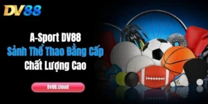 A-Sport DV88: Sảnh Thể Thao Đẳng Cấp, Chất Lượng Cao